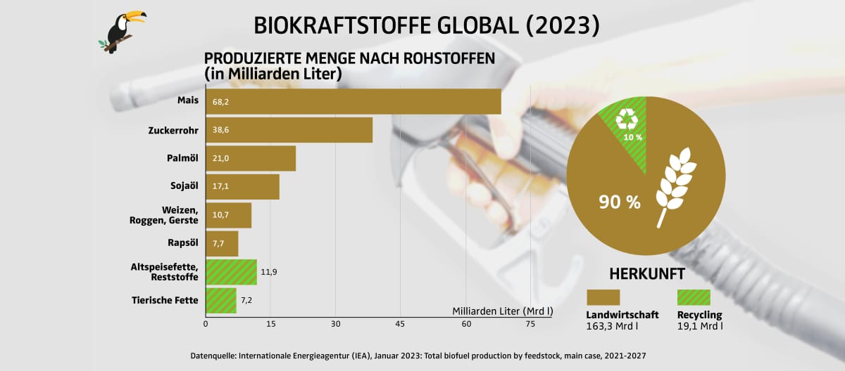 Grafik Produzierte Biokraftstoffmenge nach Rohstoffen und Anteil weltweit im Jahr 2023