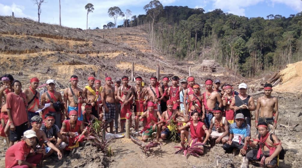 Indigene Dayak auf Kahlschlag