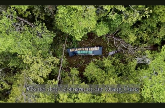 Drohnenfoto auf Wald mit Banner "Rettet den Lebensraum der Orang-Utans"