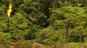 Gasfackeln im Amazonasregenwald in Ecuador