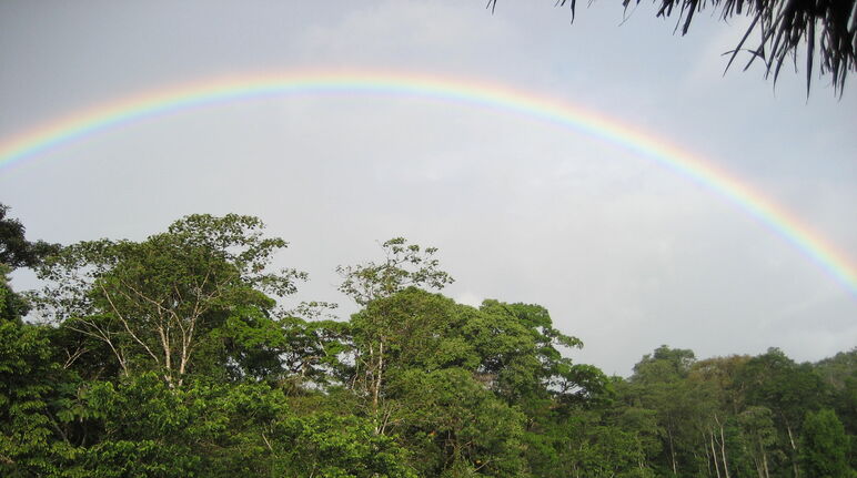 Regenbogen über Biosphärenreservat Indio Maiz, Nicaragua