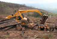 FSC-zertifizierter Holzplantagenkahlschlag in Südafrika