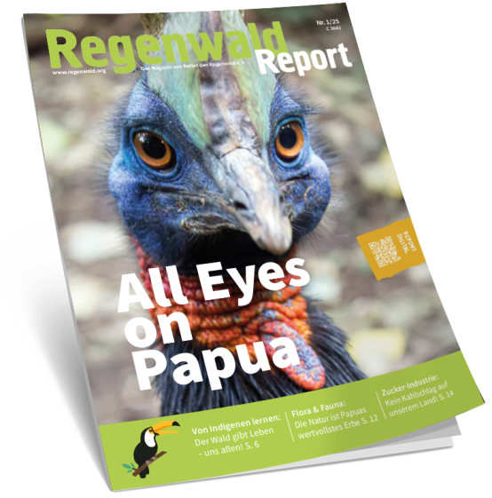 Cover Regenwald Report 01/2025