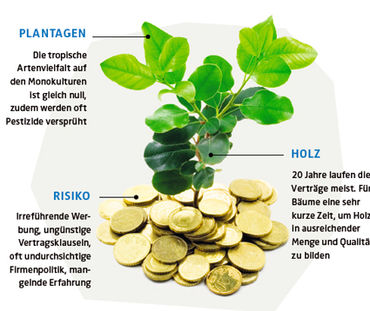 Investition in Plantagen