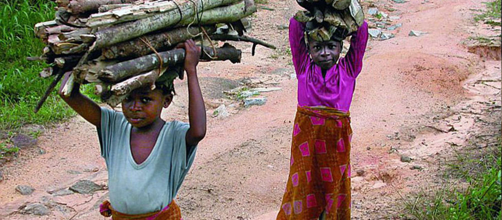 Durch deutsche Biomasseimporte bleiben die Kochherde in Liberia kalt