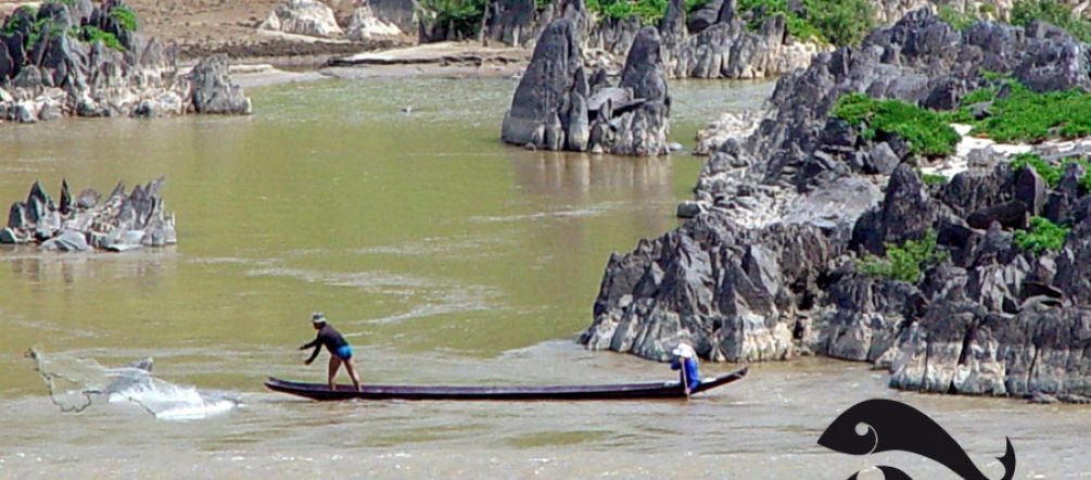 Der Mekong ernährt Millionen Familien in fünf Ländern