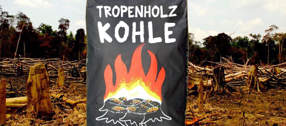 Der Tropenwald endet als Holzkohle für unsere Grillfeiern