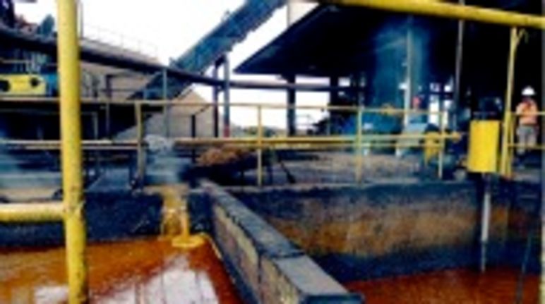 Hochwertiges Palmöl? Palmölmühle in Indonesien