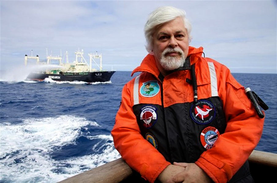 Paul Watson setzt sich unermüdlich zum Schutz der Meere ein (Foto: Sea Shepherd, Barbara Veiga)