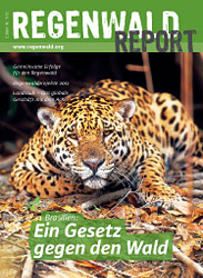 Cover Regenwald Report 01/2012