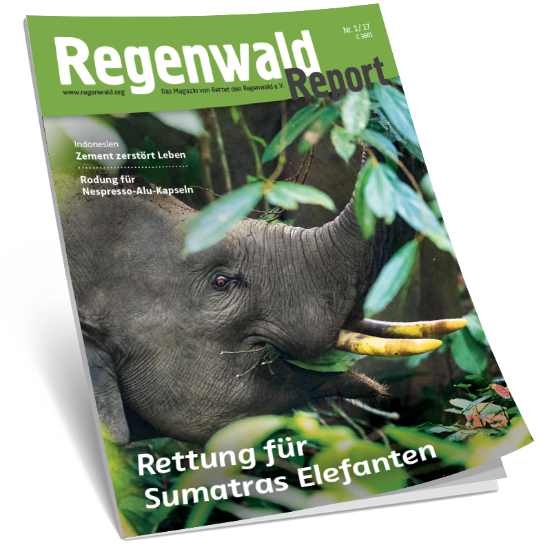 Cover Regenwald Report 01/2017