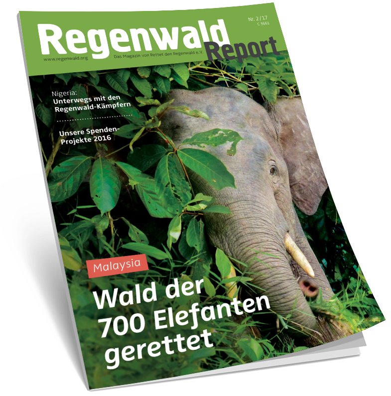 Cover Regenwald Report 02/2017