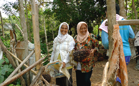 Die Bauern von Karang Mendapo auf Sumatra haben ihr Land vom Palmölkonzern zurückerobert; nach der Ernte darf der Wald wieder wachsen