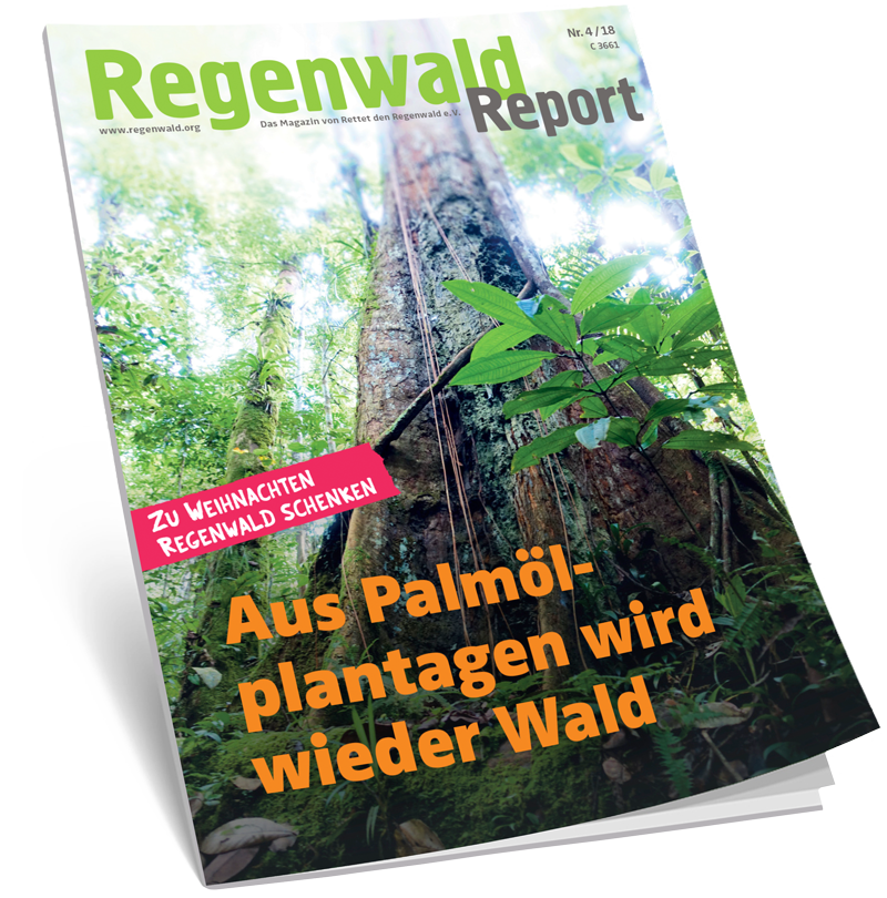 Cover Regenwald Report 04/2018