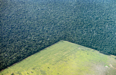 Regenwaldzerstörung wird von Menschen gemacht – und kann auch von Menschen aufgehalten werden