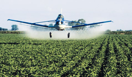 Richter entschieden: Firmen müssen die Unbedenklichkeit der Pestizide nachweisen