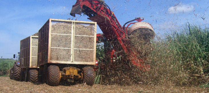 Erntemaschine für Ethanol