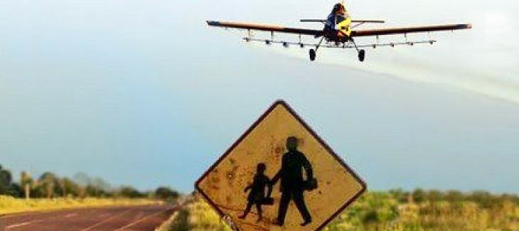Ein Flugzeug versprüht Pestizide über einem Sojafeld