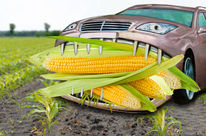 Ein Auto frisst Mais