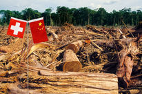 Die Flaggen von China und der Schweiz markieren einen abgeholzten Regenwald