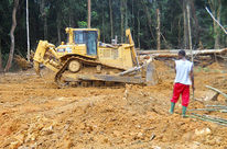 Bulldozer im Regenwald und Einwohner