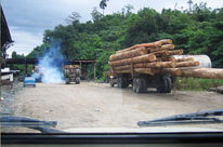 Ein mit Tropenholz beladener LKW im malaysischen Bundesstaat Sabah