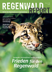 Cover Regenwald Report 01/2014