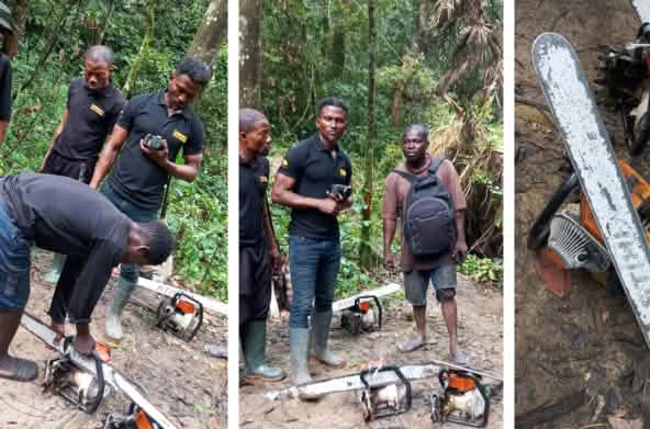 Eco-Guards beschlagnahmen Motorsägen