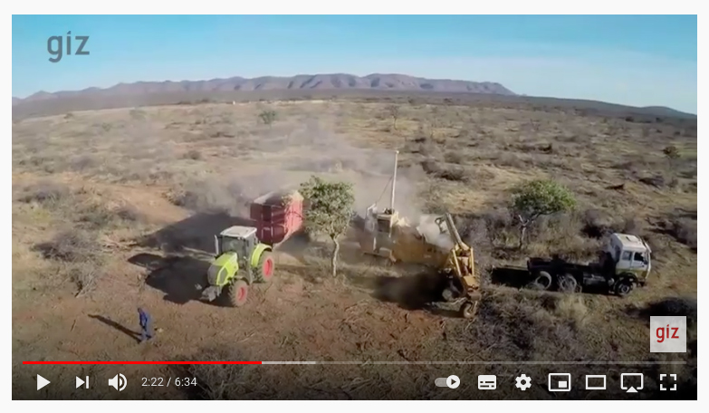 Screenshot aus Youtube-Video Namibia