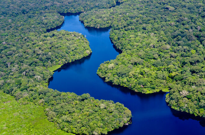 Unberührter Regenwald im Amazonas