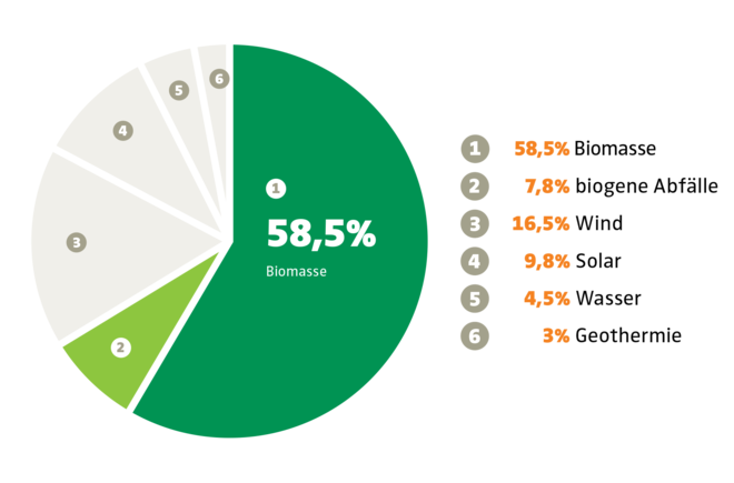 Anteil der Bioenergie bei den erneuerbaren Energien in der EU (2016)