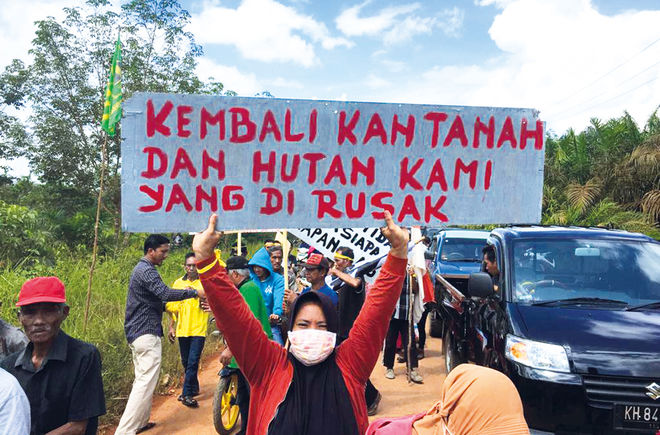 Demonstration gegen Abholzung