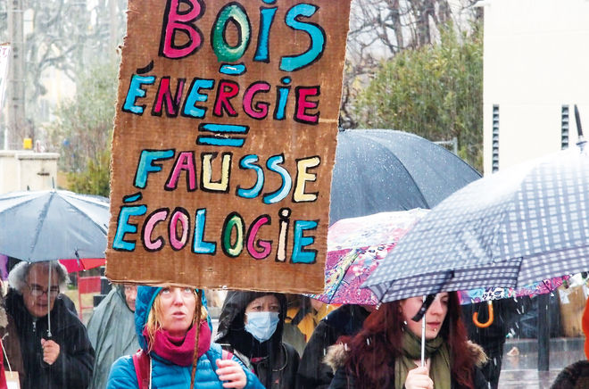 Demonstration gegen Biomasse