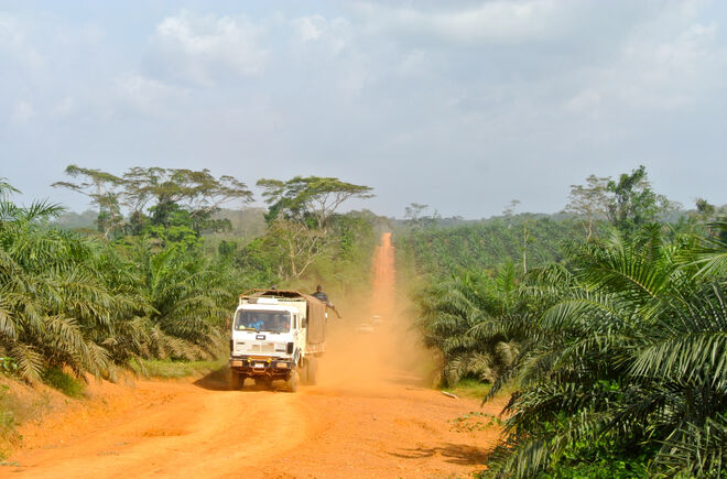 Ein Lkw fährt durch eine Palmöl-Plantage in Liberia