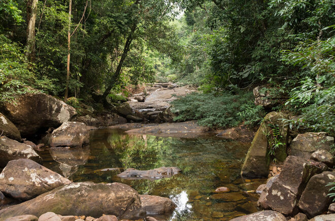 Von Felsbrocken gesäumter Wasserlauf im Regenwald