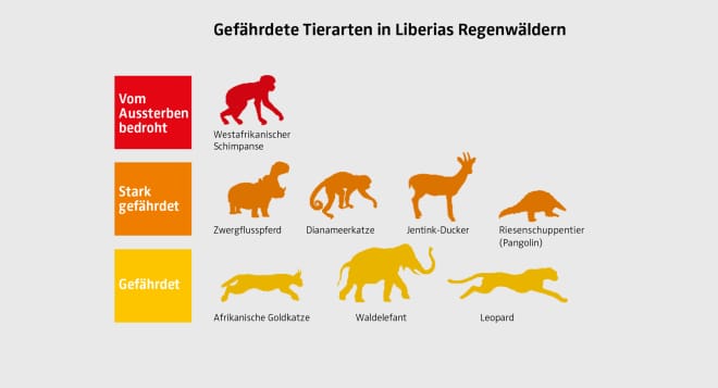 Grafik gefährdeter Tierarten in Liberia