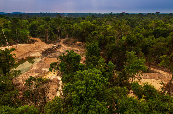 Illegale Goldmine im Regenwald