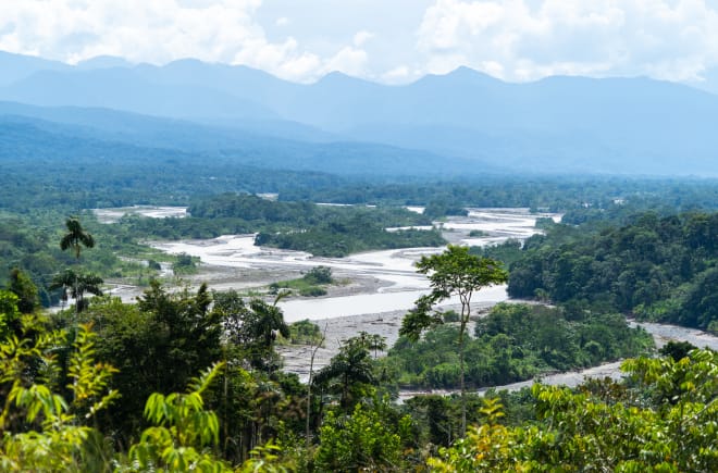 Im gesamten Amazonasgebiet fließen etwa zwei Drittel des Wassers aller Flüsse der Erde