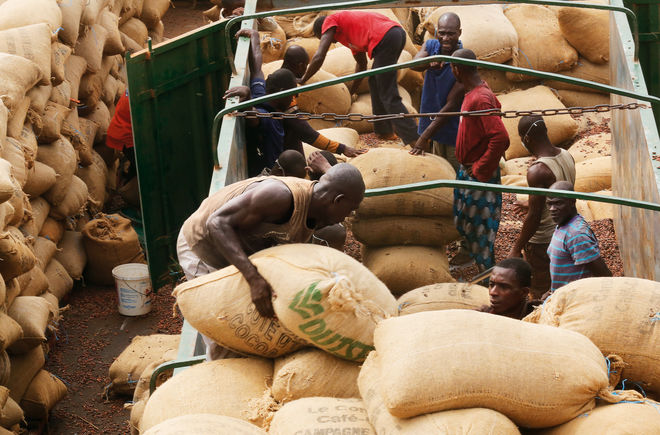 Arbeiter bei Kakaotransport-Elfenbeinküste