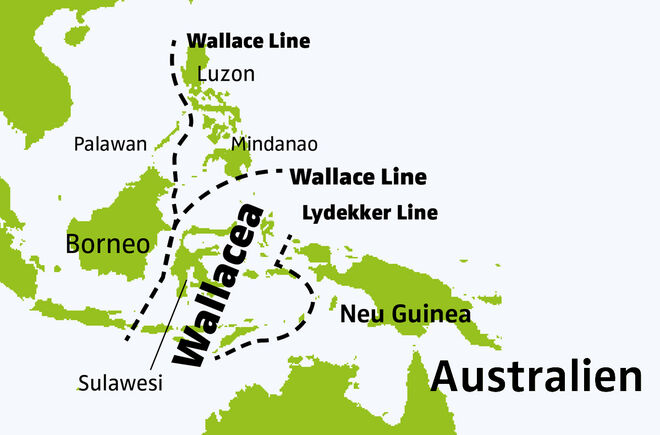 Karte Wallacea Region