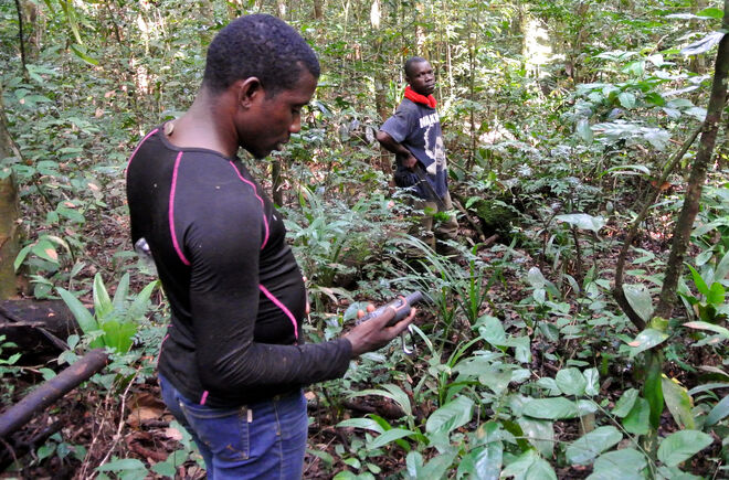 Mitarbeiter von WCF im Sapo-Nationalpark in Liberia