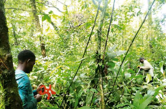 Arbeiter in Liberia