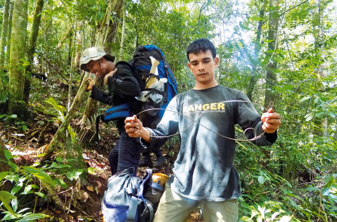 Ranger entschärfen Schlingfalle