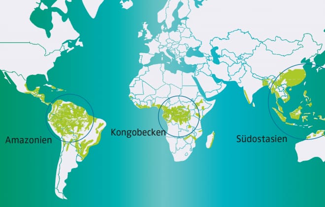 Weltkarte Regenwaldgebiete