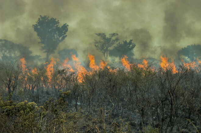 Feuer im Brasilianischen Regenwald