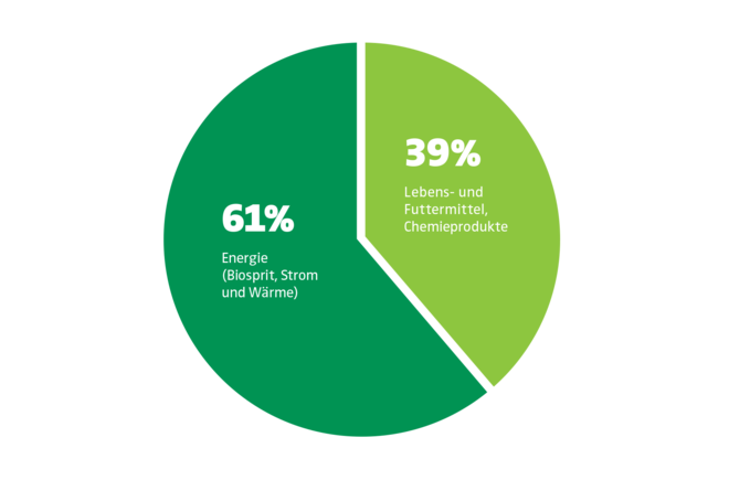 Verbrauch von Palmöl in der EU (2017)