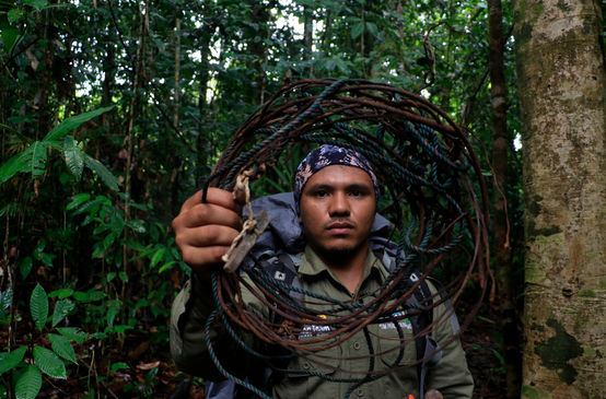 Ranger mit Schlingfalle im Leuser Nationalpark
