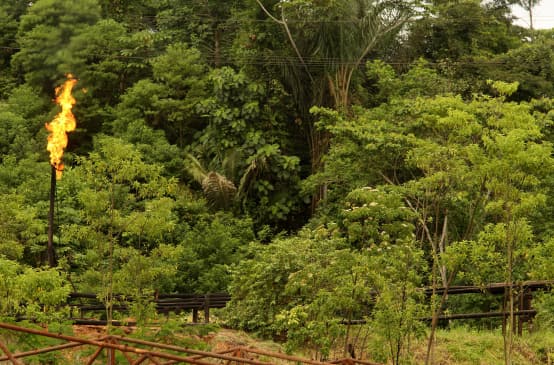 Gasfackeln im Amazonasregenwald in Ecuador