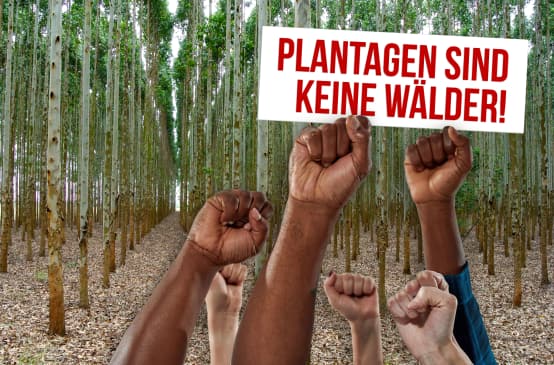 Collage Tag gegen Monokulturen - DE