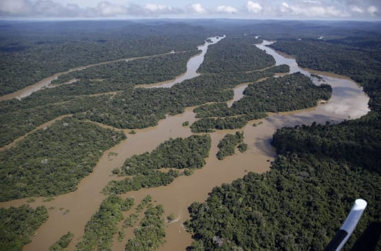 Luftbild vom Amazonas-Regenwald, Flusslandschaft